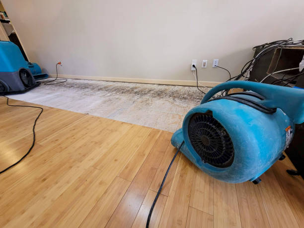 Reliable Basement Flood Cleanup contractor in South Richmond Hill, NY by Hirex Water Damage