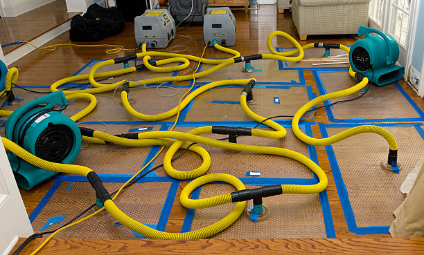 Professional Basement Flood Cleanup technician working in South Richmond Hill, NY